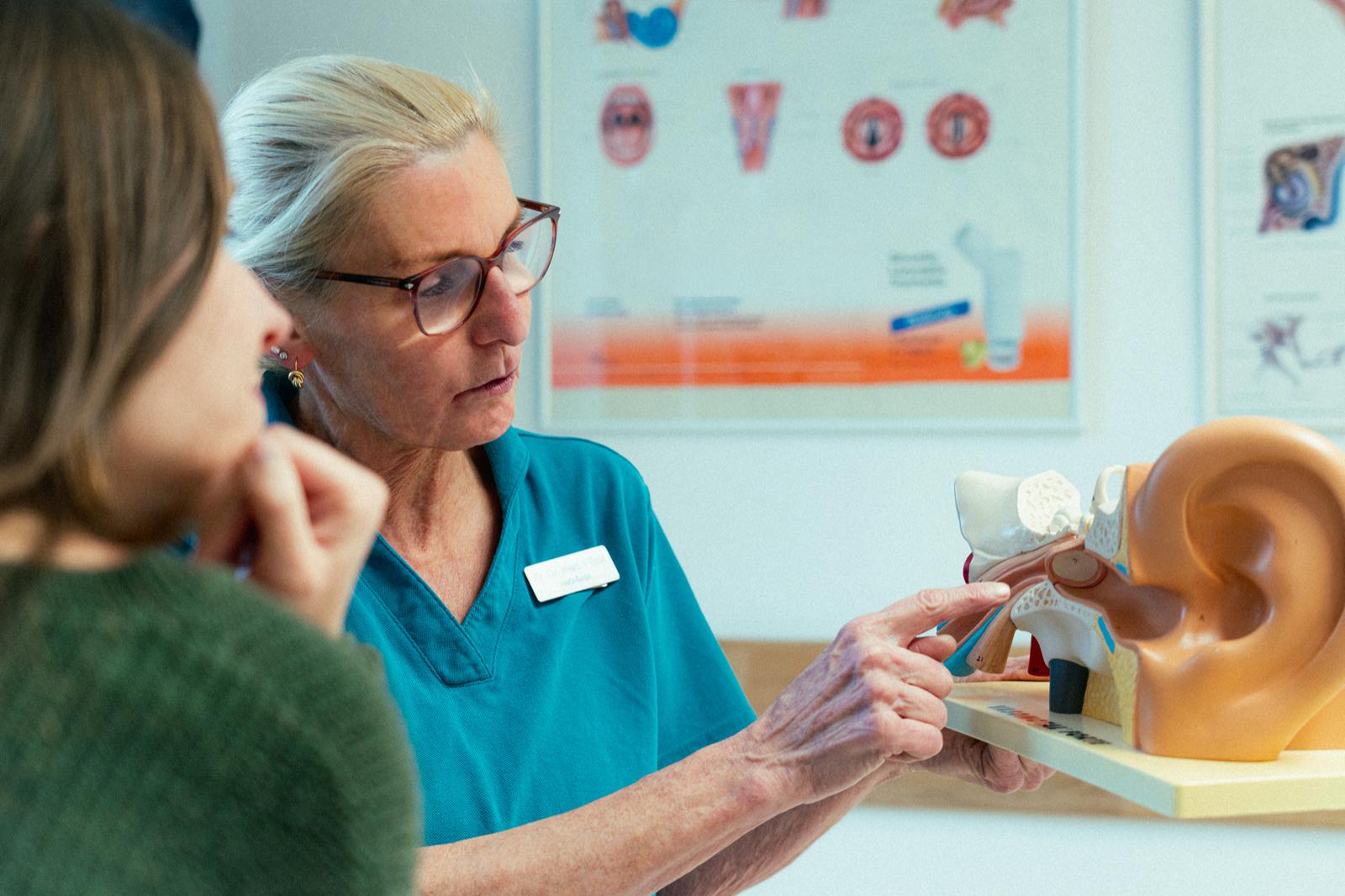 Dr. med. Gudrun Fürst erklärt die Anatomie des Ohrs anhand eines Modells